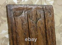 16 th c Napkin folds wood carving panel Antique french architectural salvage