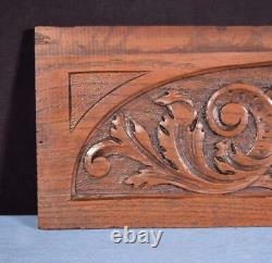 17 French Antique Hand Carved Architectural Panel Solid Oak Wood Trim