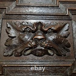 17 th C Green man lion wood carving panel Antique french architectural salvage