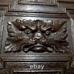 17 th C Green man lion wood carving panel Antique french architectural salvage