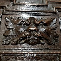 17 th C Green man lion wood carving panel Antique french architectural salvage