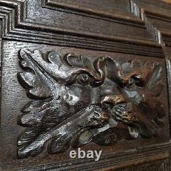 17 th C Green man lion wood carving panel Antique french architectural salvage