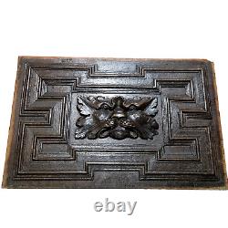 17 th C Green man lion wood carving panel Antique french architectural salvage