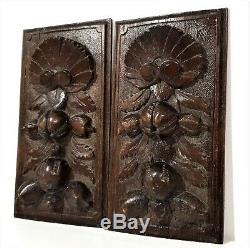 2 Farmhouse fruit shell wood carving panel antique french salvaged plaque sign