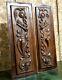 2 Griffin Scroll Leaf Shield Blazon Panel Antique French Architectural Salvage