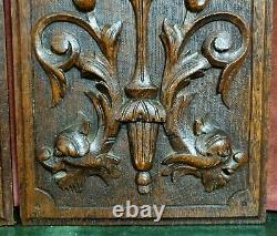 2 Griffin scroll leaves carving panel Antique french architectural salvage 13