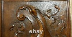2 Scroll leaves blazon carving panel Antique french architectural salvage 18