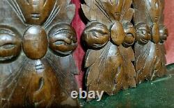 4 Victorian rosette wood carving panel Antique french architectural salvage 2