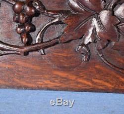 42 French Antique Hand Carved Architectural Panel Solid Oak Wood withLion Face