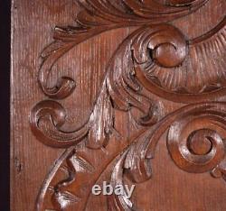 49 Tall French Antique Deep Carved Louis XV Panel Solid Oak Wood with Cherubs