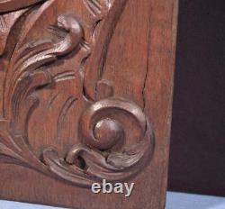 49 Tall French Antique Deep Carved Louis XV Panel Solid Oak Wood with Cherubs