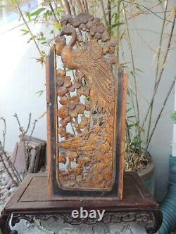 A397. Antique Carved Gold Gilt Wood Panel with Peacock