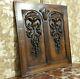 Acanthus Scroll Leaves Carving Panel Antique French Architectural Salvage 22