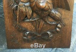 Antique Carved Oak Panel Plaque Roc Bird High Relief Foliate QTY Large & Unusual