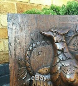 Antique Carved Oak Panel Plaque Roc Bird High Relief Foliate QTY Large & Unusual