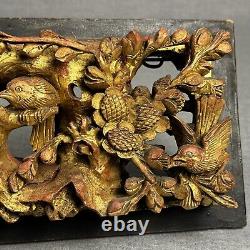 Antique Chinese Hand Carved Gold Gilt Wood Wall Panel Tree With Birds 23x 7