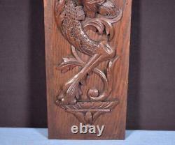 Antique French Carved Oak Wood Panel with Dragon/Griffin Salvage