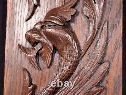 Antique French Carved Oak Wood Panel with Dragon/Griffin Salvage