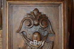 Antique French Carved Wood Cabinet Architectural Panel Crest Medallion
