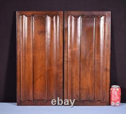 Antique French Gothic Revival Panels in Solid Walnut Wood withLinen Fold Carvings