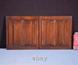 Antique French Gothic Revival Panels in Solid Walnut Wood withLinen Fold Carvings