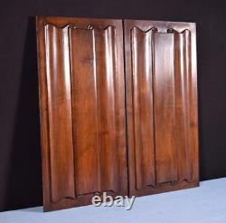 Antique French Gothic Revival Panels in Solid Walnut Wood withLinen Fold Carvings