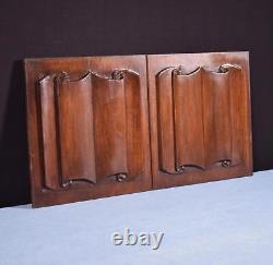 Antique French Gothic Revival Panels in Solid Walnut Wood withLinen Fold Carvings