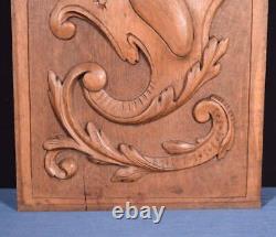 Antique French Highly Carved Panel in Oak Wood Salvage