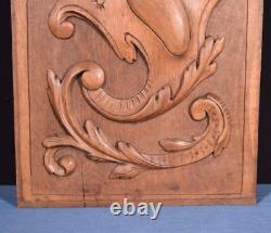 Antique French Highly Carved Panel in Oak Wood Salvage