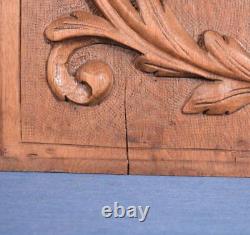 Antique French Highly Carved Panel in Oak Wood Salvage