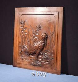 Antique French Hunting Style Carved Panel in Solid Walnut Wood withBird Salvage 2