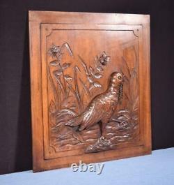 Antique French Hunting Style Carved Panel in Solid Walnut Wood withBird Salvage 2