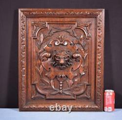 Antique French Panel in Solid Oak Wood with Lion Face Highly Carved