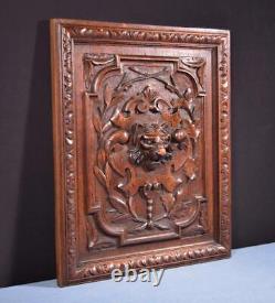 Antique French Panel in Solid Oak Wood with Lion Face Highly Carved