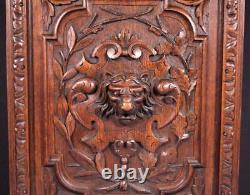 Antique French Panel in Solid Oak Wood with Lion Face Highly Carved