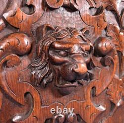 Antique French Panel in Solid Oak Wood with Lion Face Highly Carved