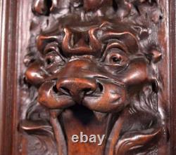 Antique French Panel in Solid Walnut Wood with Lion Face Highly Carved 1