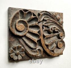 Antique Spanish Colonial Baroque Carved Wood Panel, Rustic Primitive Decor 12