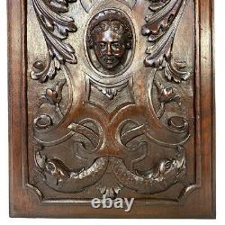 Antique Victorian Carved 16x11 Furniture or Cabinet Door Panel PAIR, Mascarons