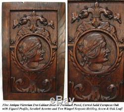 Antique Victorian Carved Cabinet Door, Panel, Wall Plaque with Serpents, Figural