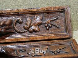 Antique french drawer front panel pediment furniture oak carved lion griffin
