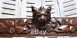 Architectural griffin scroll leaves Antique french carved wood crest panel trim