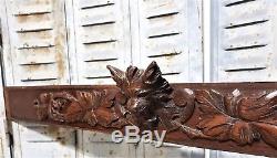 Architectural griffin scroll leaves Antique french carved wood crest panel trim