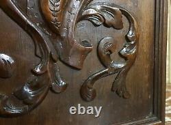 Armorial scroll leaves carving panel Antique french architectural salvage 18