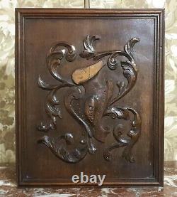Armorial scroll leaves carving panel Antique french architectural salvage 18