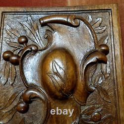 Berry coat of arms wood carving panel 135 Antique French architectural salvage