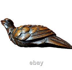 Bird hunting trophy wood carving panel 125 Antique French architectural salvage