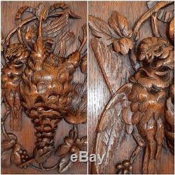 Black Forest Hand Carved Wood Panel Frame Hunt Themes Trophy Bird Wall Plaque