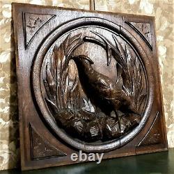 Black forest hunting wood carving panel Antique french architectural salvage 21