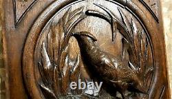 Black forest hunting wood carving panel Antique french architectural salvage 21